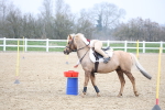 SBM_003964