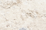 250420A-124556-00828