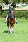 SBM_47147