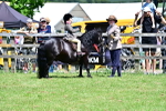 SBM_05869