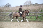 SBM_006024
