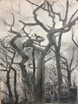 Wild Wood Drawing 4 56cm x 76cm Mixed Media on Paper