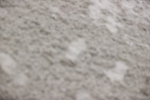 SBM_007054