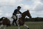 BVHT 140517  NXC -100