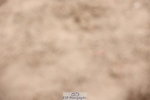 241117X-135747-04927