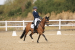 SBM_009700