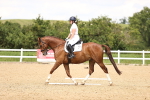 SBM_001491