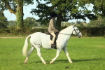 SBM_59829