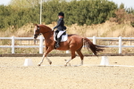 SBM_019258