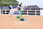 BPP_6023