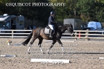 BPP_9270