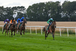 080825-Race 5-Paddy The Squire-2644
