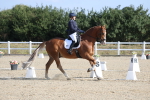 SBM_020226