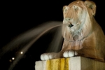 Lions in Piazza del Popolo
