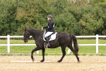 SBM_002874