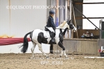BPP_8381