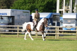 SBM_10522