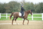 LAD_3625