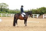 SBM_006637