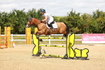 SBM_002951