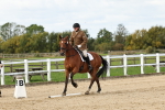 SBM_004449