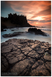 Dunluce Castle (IMG0445)