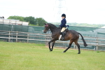 SBM_15955
