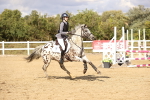 SBM_008607