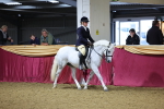 SBM_18922