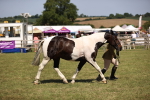 SBM_17933