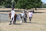 WJ6_9468