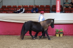 SBM_17427