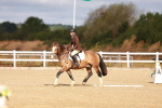 SBM_009388