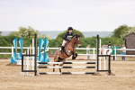 SBM_008646
