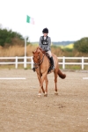 SBM_009239