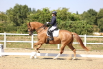 SBM_006581