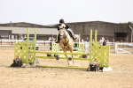 SBM_003091