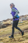 Carrock Fell-272