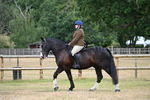 WJ6_3781