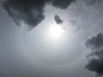 22 degree Halo - and Buzzard
