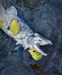 Aftermath-10