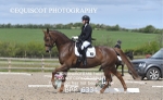 BPP_6334