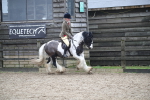 SBM_008092