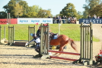 SBM_15270