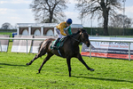 100426-Race 6-In The Breeze-3662