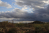 Desert Storm