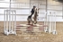 BPP_3714
