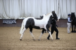 SBM_5286