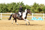 SBM_002781