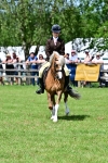 SBM_07954